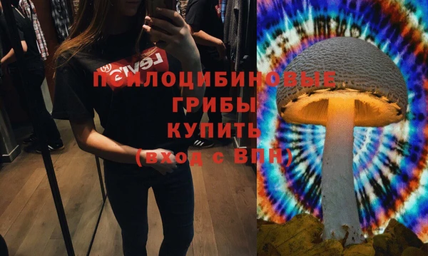 герыч Аркадак