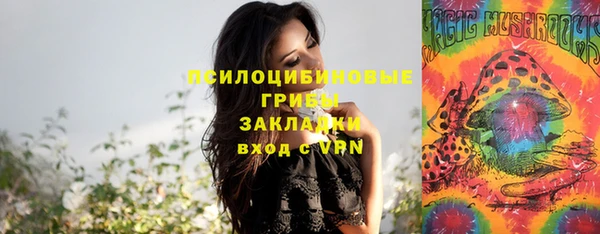 герыч Аркадак